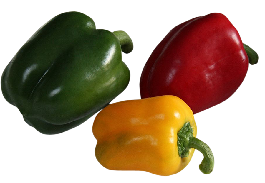 Colourful Capsicums, Colourful Capsicums png, Colourful Capsicums png image, Colourful Capsicums transparent png image, Colourful Capsicums png full hd images download